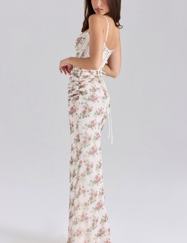 Rose Print Mesh Maxi