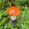 Contemporary Creative Colorful Mushroom Glass Shape LED Solar Waterproof Lawn Insert Light For Garden