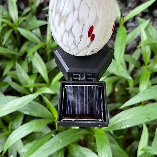 06_d3afcc1a-4872-48b8-9b66-01f3babb7f01 Contemporary Creative Colorful Mushroom Glass Shape LED Solar Waterproof Lawn Insert Light For Garden