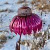 Coneflower Decorative Bird Feeder