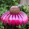 Coneflower Decorative Bird Feeder